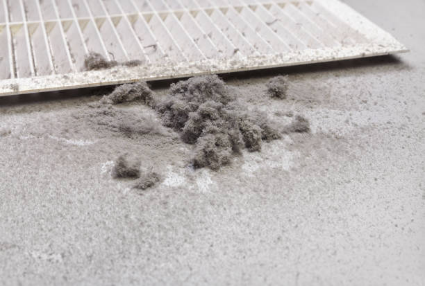 Best Duct Cleaning for Offices  in Ephraim, UT