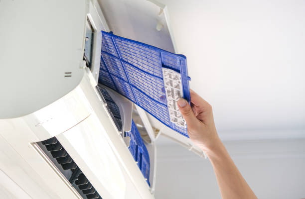 Best Air Duct Sanitizing Services  in Ephraim, UT